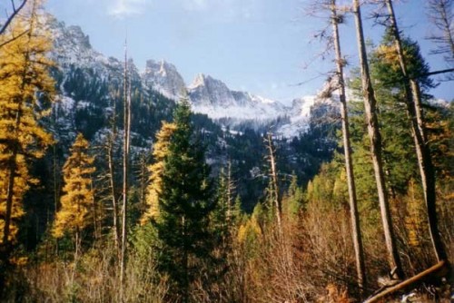 Bitterroot National Forest - Montana