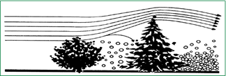 living snow fence diagram