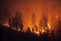 Forest Fire Risk Reduction and Defensible Space