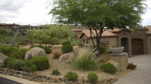 xeriscaping