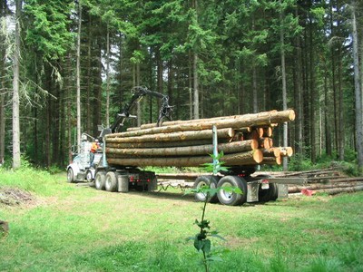 timber truck